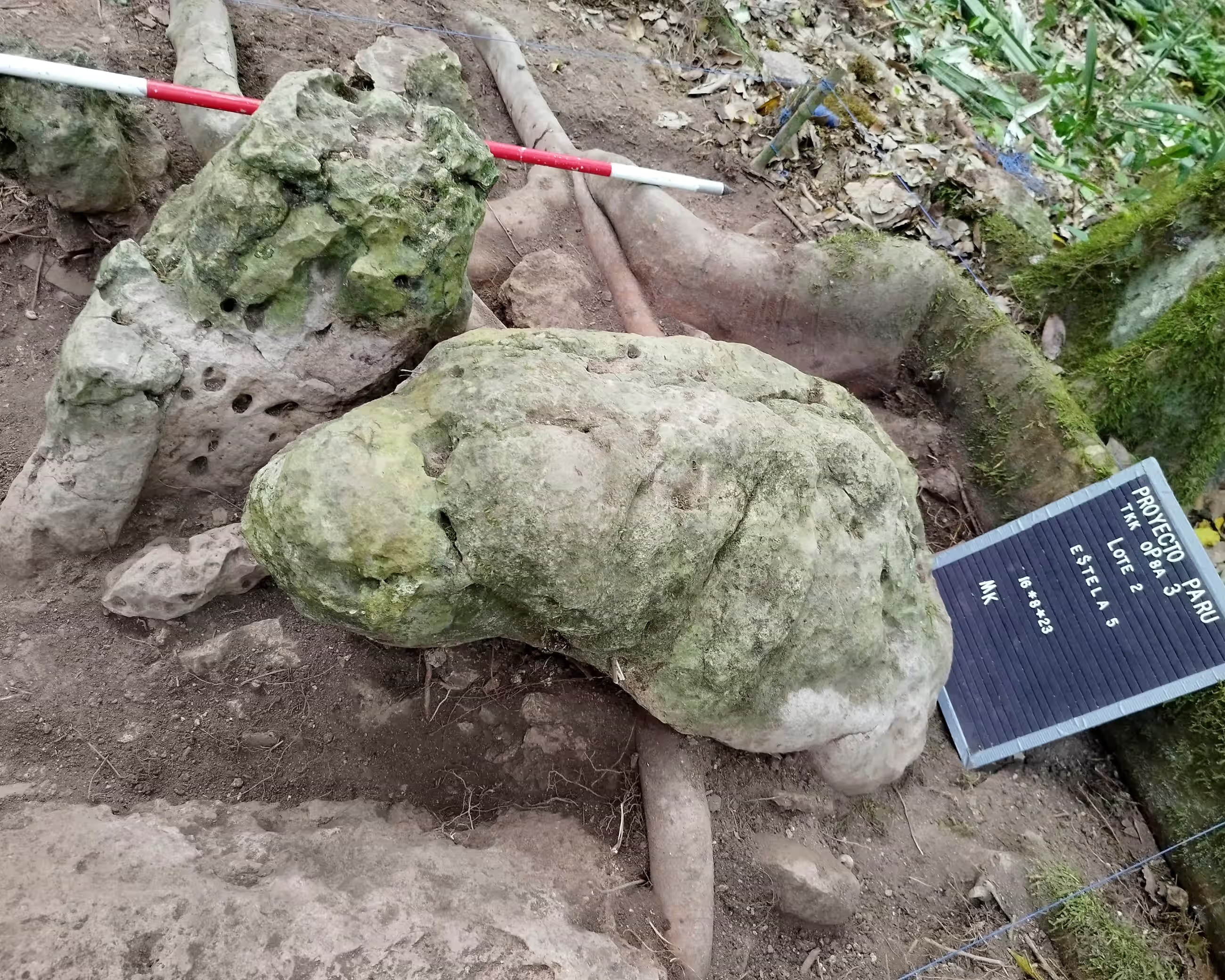 Антропоморфные изваяния из Лос-Абуэлос / Фото: Guatemalan Ministry of Culture and Sports/AFP/Getty Images